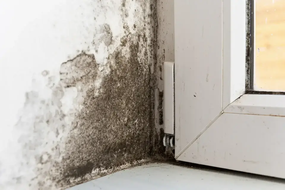 Restoring Properties and Peace of Mind After a Disaster — Loveland, CO